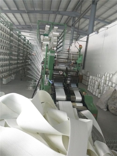 湛江編織帶廠家選擇 越獅工業(yè)品質(zhì)保證引領(lǐng)彈力打包帶批發(fā)新標(biāo)桿